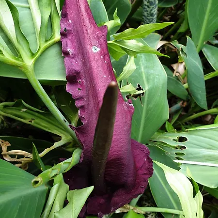 Creativ Hause Apartamento