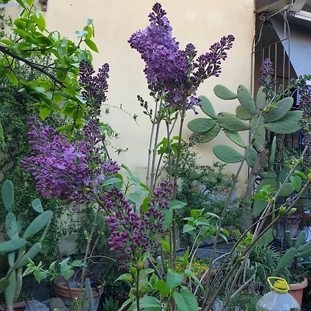 Apartamento Creativ Hause