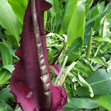 Creativ Hause * San Giuliano Terme