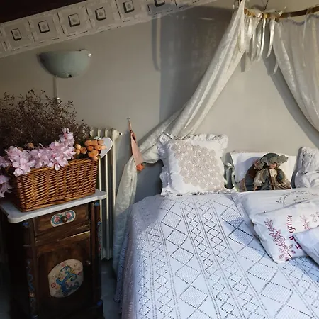Creativ House San Giuliano Terme