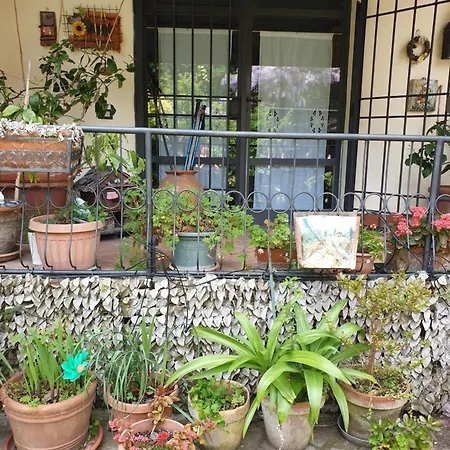 Creativ Hause Сан-Джулиано-Терме